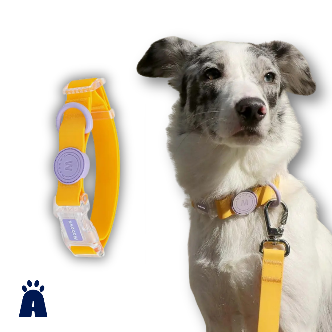 Coleira Ajustável Impermeável para Cães e Gatos