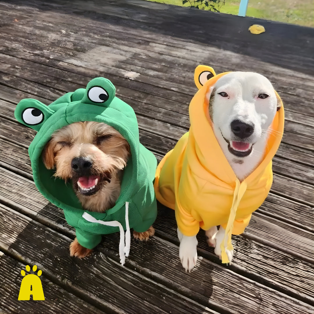 Moletom para Gatos e Cães Pequenos