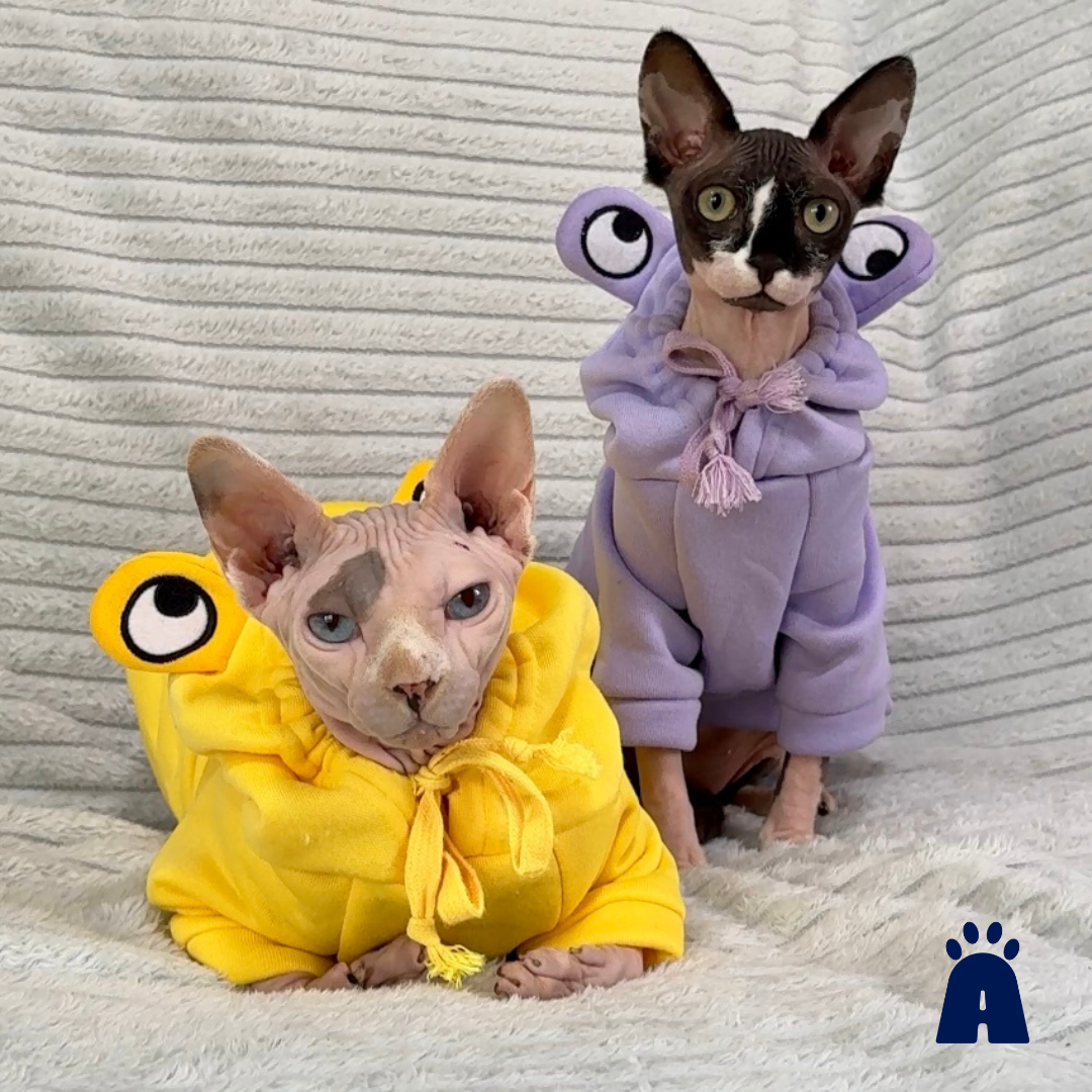 Moletom para Gatos e Cães Pequenos