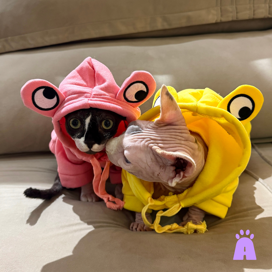 Moletom para Gatos e Cães Pequenos