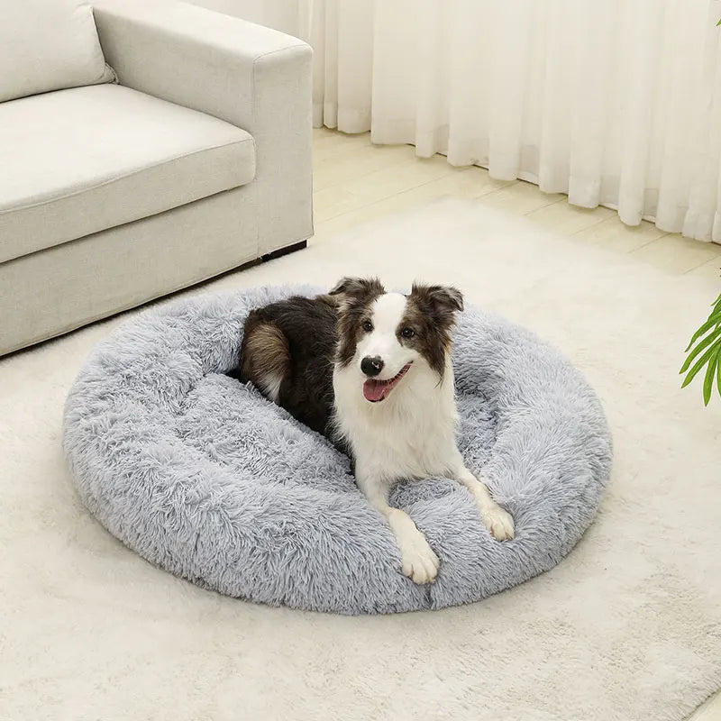 Cama Macia para Cachorro - Cesta de Pelúcia Longa e Almofada para Cães