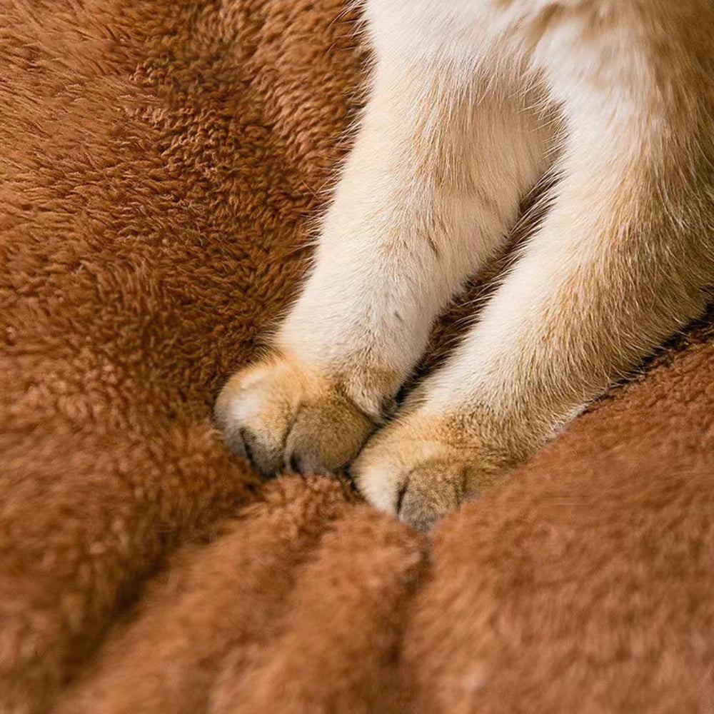 Cama para Pet Universal para Gato e Cachorro Estilo Urso de Pelúcia
