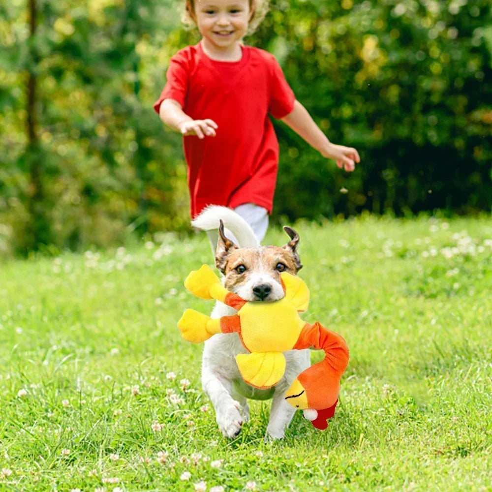Brinquedo de Pelúcia para Cachorro - Galinha com Som e Resistente à Mordida