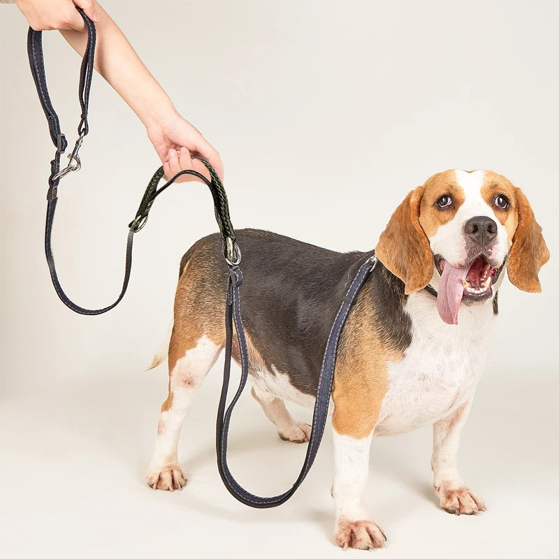 Coleira Jeans Ajustável para Cachorros - Caminhada e Corrida