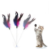 Brinquedo Interativo para Gato com Ventosa e Pena com Sino - Caça e Exercício