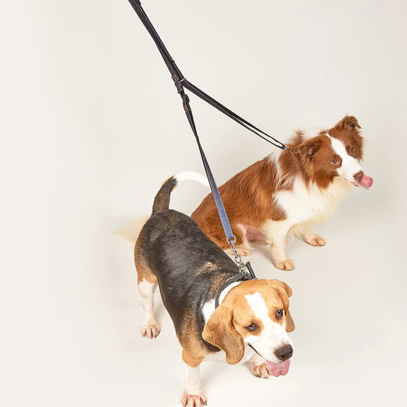 Coleira Jeans Ajustável para Cachorros - Caminhada e Corrida