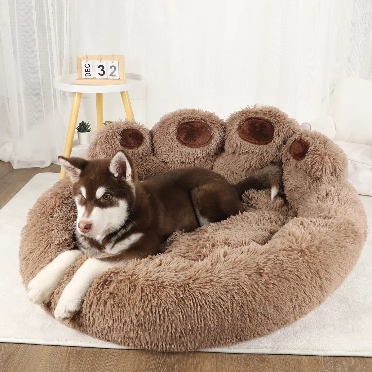 Cama para Cachorro - Cesta e Sofá para Pets, Acessórios e Cobertores