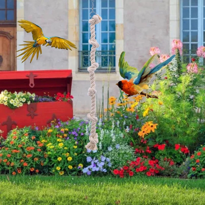 Corda de Algodão Suspensa para Gaiola - Brinquedo de Escalada para Papagaios e Periquitos