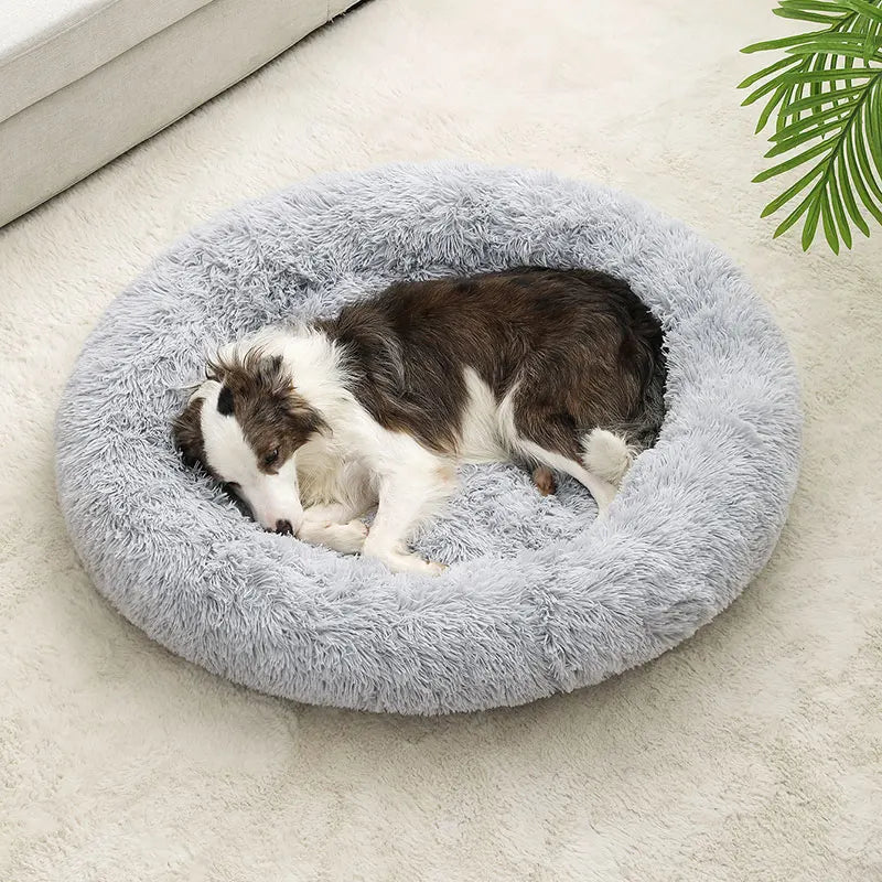 Cama Macia para Cachorro - Cesta de Pelúcia Longa e Almofada para Cães