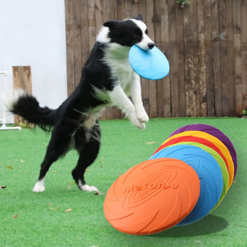 Brinquedo de Disco Voador Resistente para Cães - Treinamento e Jogo Interativo ao Ar Livre