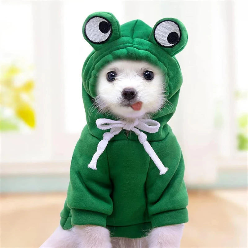 Casaco para Cães Pequenos