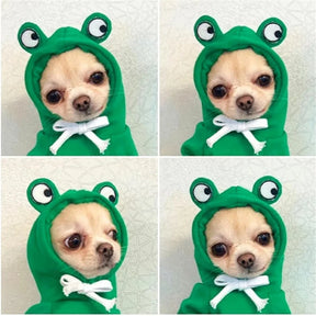 Casaco para Cães Pequenos