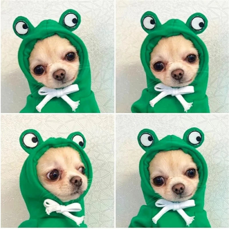 Casaco para Cães Pequenos